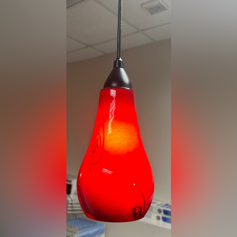 Pending Light Shade/Cover